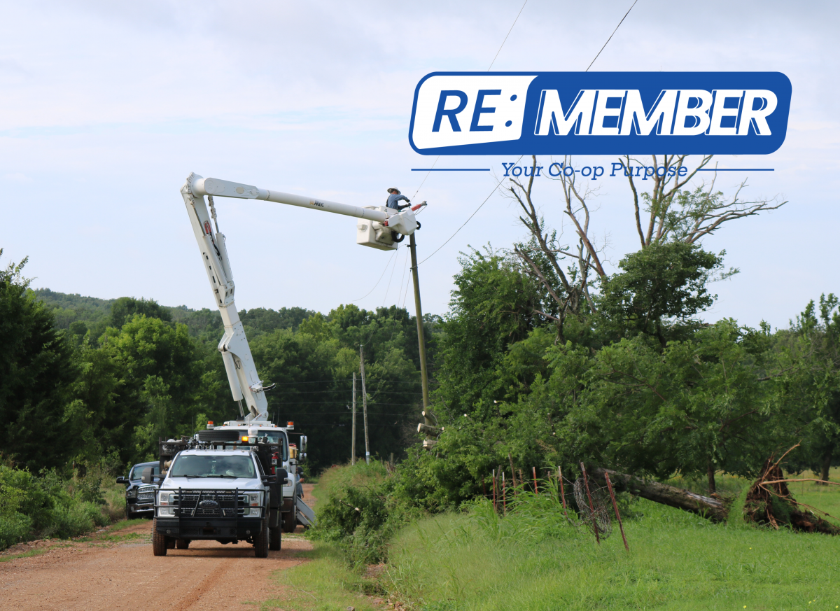 More Than a Customer: What It Means to Be a Member of Lake Region